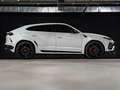 Lamborghini Urus 4.0 V8 Aut. Blanco - thumbnail 4