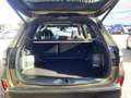 Subaru Forester 2.0ie e-Boxer AWD Exclusive Grün - thumbnail 6