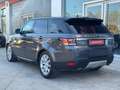 Land Rover Range Rover Sport 3.0TDV6 HSE Aut. Gris - thumbnail 6