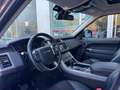 Land Rover Range Rover Sport 3.0TDV6 HSE Aut. Gris - thumbnail 9