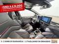 Ford Focus 2.3 ecoboost st 280cv Rosso - thumbnail 7