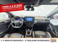 Ford Focus 2.3 ecoboost st 280cv Rosso - thumbnail 12
