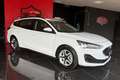 Ford Focus 1.5 EcoBlue 120 CV automatico SW Business Bianco - thumbnail 3