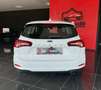 Ford Focus 1.5 EcoBlue 120 CV automatico SW Business Bianco - thumbnail 6