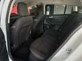 Ford Focus 1.5 EcoBlue 120 CV automatico SW Business Bianco - thumbnail 12
