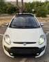 Fiat Punto Evo 3p 1.3 mjt Dynamic s&s 75cv - thumbnail 2