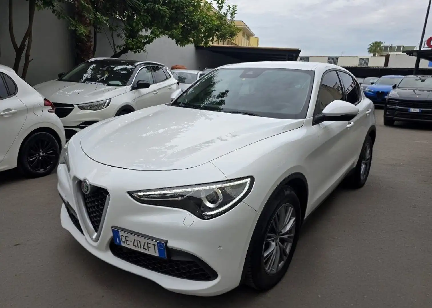Alfa Romeo Stelvio 2.2 Turbodiesel 160 CV AT8 RWD Business Wit - 1