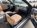 Mercedes-Benz CLK 350 Cabrio Xenon_Leder_AMG_Memory_Navi_Schec Schwarz - thumbnail 11