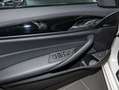 BMW 520 d M Sportpaket LC Prof. Adapt. LED DA PA Blanco - thumbnail 19