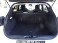 Ford Puma Titanium Design MHEV 1.0EB|LED*WINTER*PDC| Blanc - thumbnail 10