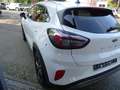 Ford Puma Titanium Design MHEV 1.0EB|LED*WINTER*PDC| Blanc - thumbnail 7