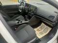 Renault Megane IV Hatchback 1.5 dCi 16V 90 cv Wit - thumbnail 6