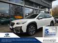 Subaru OUTBACK Platinum Harman Kardon, Navi, AHK Blanc - thumbnail 1