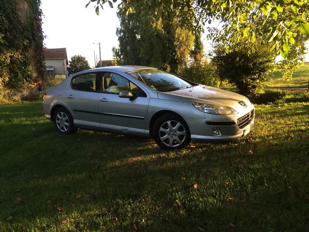 Peugeot 407 capteurs ABS