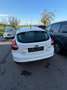 Ford Focus Trend 1,0 EcoBoost - thumbnail 3