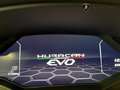 Lamborghini Huracán Evo 640 awd - FULL PPF - IVA ESPOSTA Gris - thumbnail 14