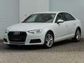 Audi A4 2.0 TDI Virtual Bi-Xenon Navi Kamera 104g Bianco - thumbnail 1