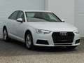 Audi A4 2.0 TDI Virtual Bi-Xenon Navi Kamera 104g Bianco - thumbnail 14