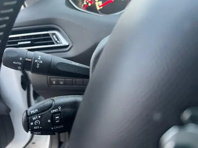 Peugeot 308 view 19