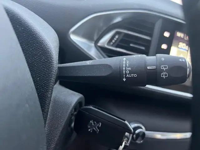 Peugeot 308 view 18