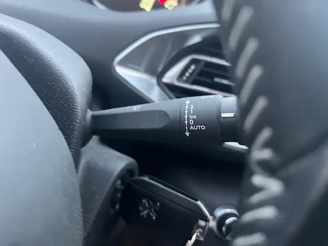 Peugeot 308 view 17