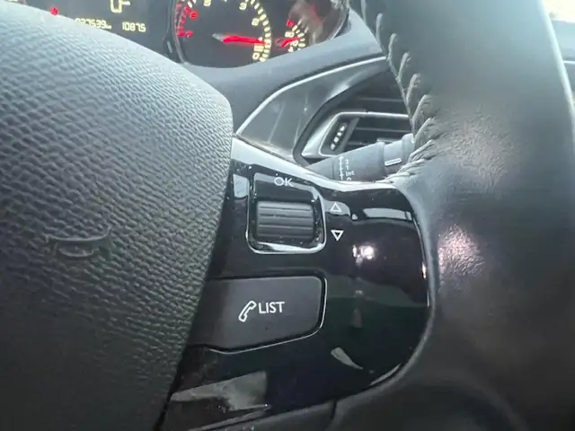 Peugeot 308 view 16