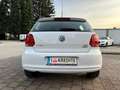 Volkswagen Polo Trendline BMT 1,6 TDI DPF Finanzierung möglich Weiß - thumbnail 4