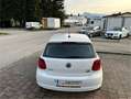 Volkswagen Polo Trendline BMT 1,6 TDI DPF Finanzierung möglich Weiß - thumbnail 13
