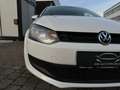 Volkswagen Polo Trendline BMT 1,6 TDI DPF Finanzierung möglich Weiß - thumbnail 15