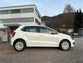 Volkswagen Polo Trendline BMT 1,6 TDI DPF Finanzierung möglich Weiß - thumbnail 6