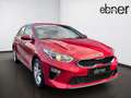 Kia Ceed / cee'd Ceed 1.0 T-GDI Vision | Navi | Rückfahrkamera | Rot - thumbnail 16
