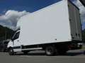 Mercedes-Benz Sprinter Kofferaufbau✅ 516 CDI ✅W906 ✅UMZUG ✅MÖBELKOFFER Weiß - thumbnail 8