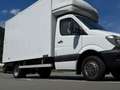 Mercedes-Benz Sprinter Kofferaufbau✅ 516 CDI ✅W906 ✅UMZUG ✅MÖBELKOFFER Weiß - thumbnail 41
