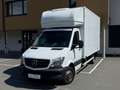 Mercedes-Benz Sprinter Kofferaufbau✅ 516 CDI ✅W906 ✅UMZUG ✅MÖBELKOFFER Weiß - thumbnail 1