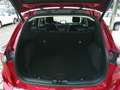 Ford Kuga 2,0 EcoBlue AWD Vignale Aut. Rot - thumbnail 6