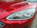 Ford Kuga 2,0 EcoBlue AWD Vignale Aut. Rot - thumbnail 10