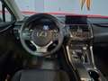 Lexus NX 300 300h Business Navigation 2WD Grau - thumbnail 10