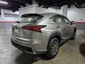 Lexus NX 300 300h Business Navigation 2WD Grau - thumbnail 4