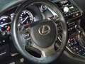 Lexus NX 300 300h Business Navigation 2WD Grau - thumbnail 12