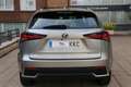Lexus NX 300 300h Business Navigation 2WD Grijs - thumbnail 2