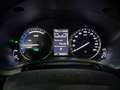 Lexus NX 300 300h Business Navigation 2WD Grau - thumbnail 13
