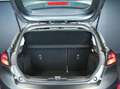 Ford Fiesta 1.1 75 CV 5 porte Titanium Grigio - thumbnail 9