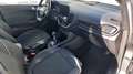 Ford Fiesta Fiesta 5p 1.5 tdci Titanium 85cv Grigio - thumbnail 12