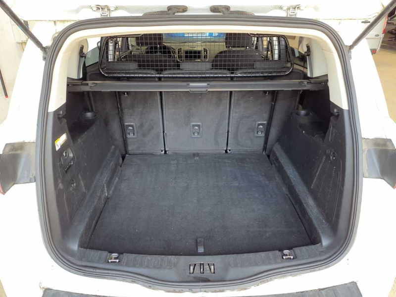 Ford S-Max 2.0 EcoBlue Trend AHK SpoSi BLIS Key LED — photo 13