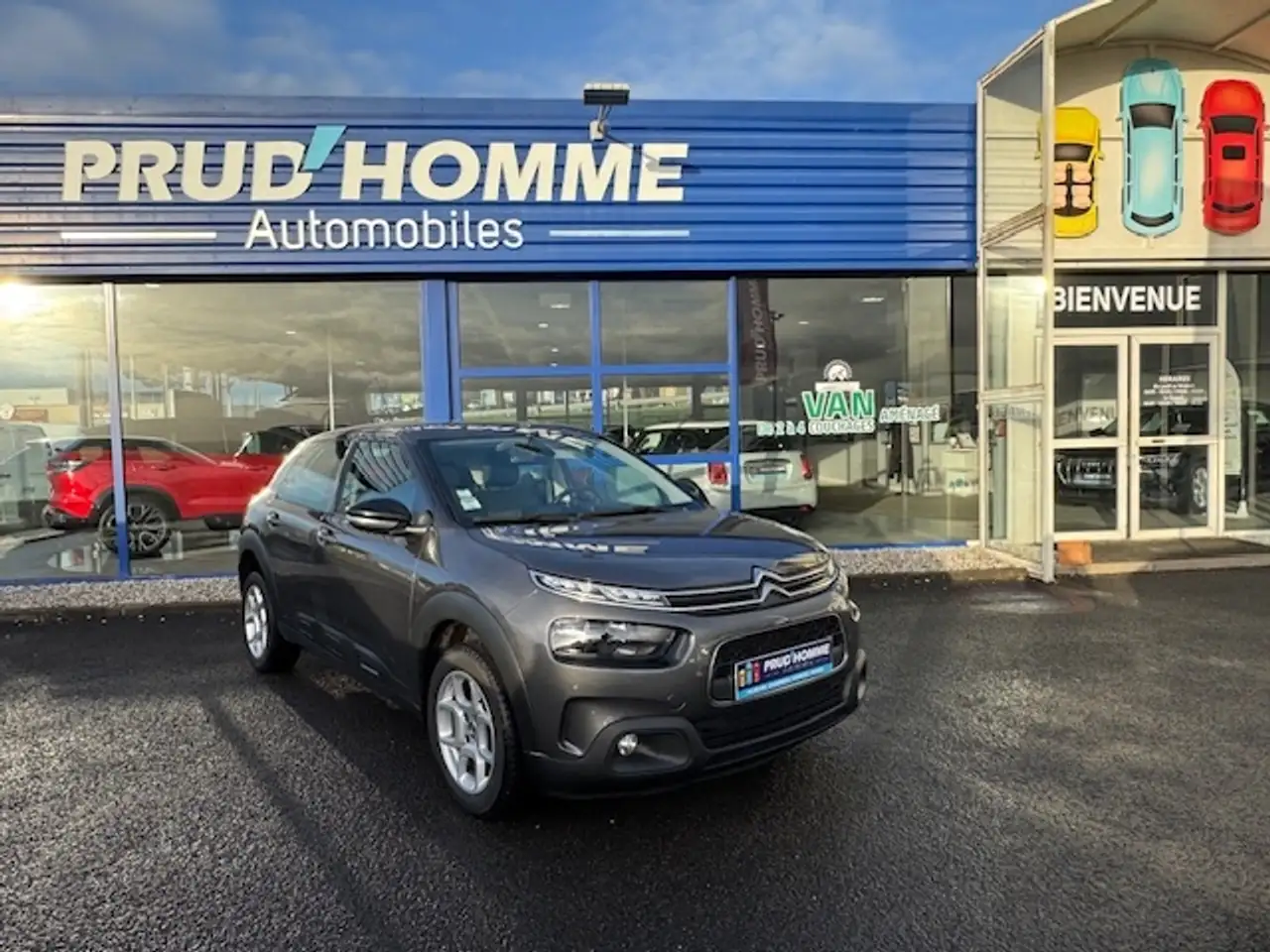 Citroen C4 Cactus BLUEHDI 100 FEEL BUSINESS