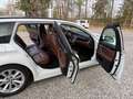 BMW 525 525 d Blanco - thumbnail 14