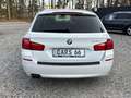 BMW 525 525 d Blanco - thumbnail 5