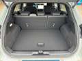 Ford Puma 1.0 HYBRID Aut. ST-Line |FACELIFT|GJR|ACC| Grau - thumbnail 11