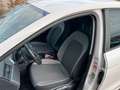 SEAT Ibiza Style SHZ Blanco - thumbnail 12