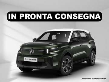 Nuova elettrico You 113cv automatico